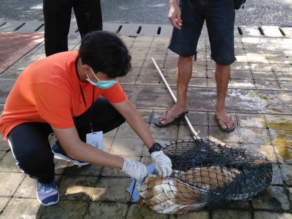 Songsong Pertemuan G20